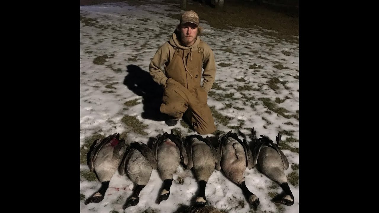 2 man goose hunt in Wisconsin Limits YouTube