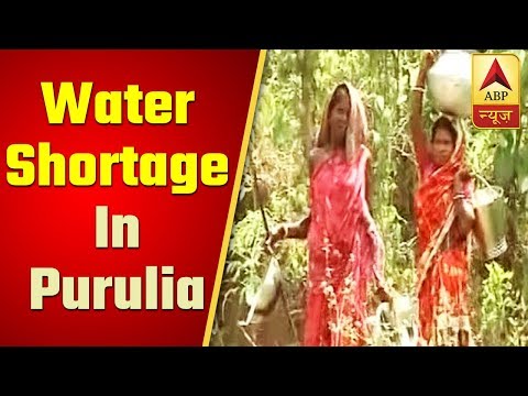 People Suffer From Water Shortage In This Village Of Purulia | ABP News