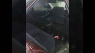 Paddock bomb disaster #69