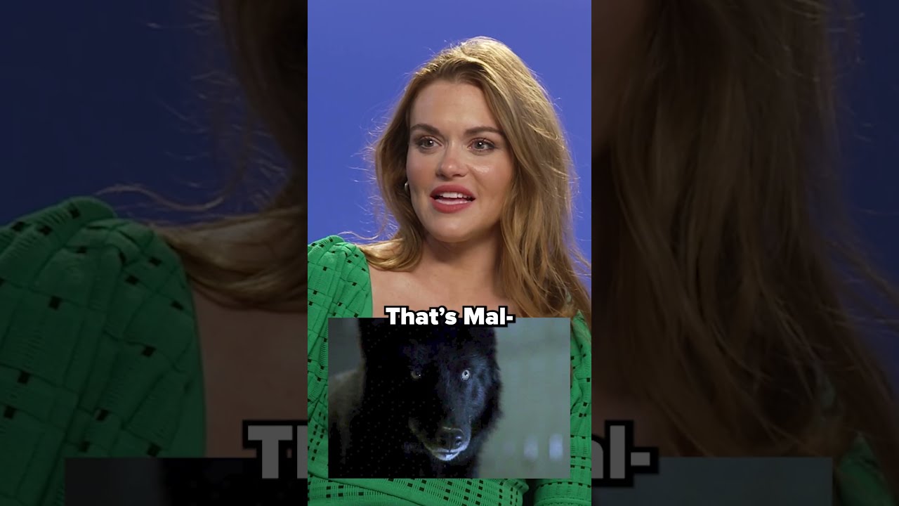 Can The Teen Wolf Cast Recognise Show S Werewolves Shorts