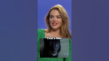 Can the Teen Wolf cast recognise the show