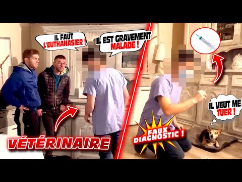 Vidéo: Demandez à un vétérinaire: Pourquoi mon chien enterre-t-il ses affaires?