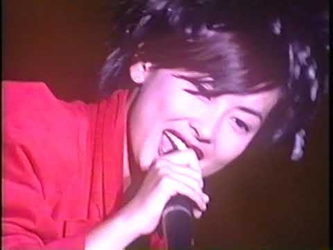 中山美穂 CHEERS FOR YOU （LIVE1995） - YouTube