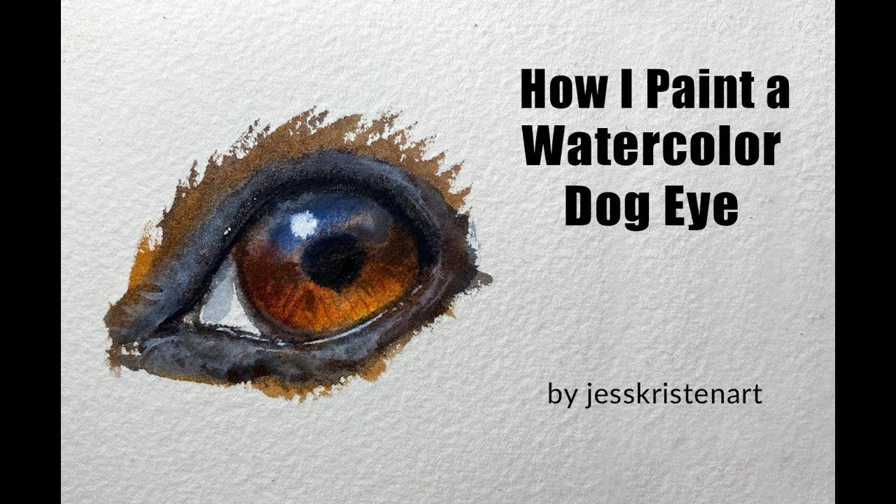 How I Paint a Dog Eye Jess Kristen Watercolor Artist YouTube