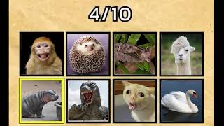 เกม หมู หมา กา ไก่ 1 2 3 4 (เอาไว้แกล้งเพื่อน) screenshot 1