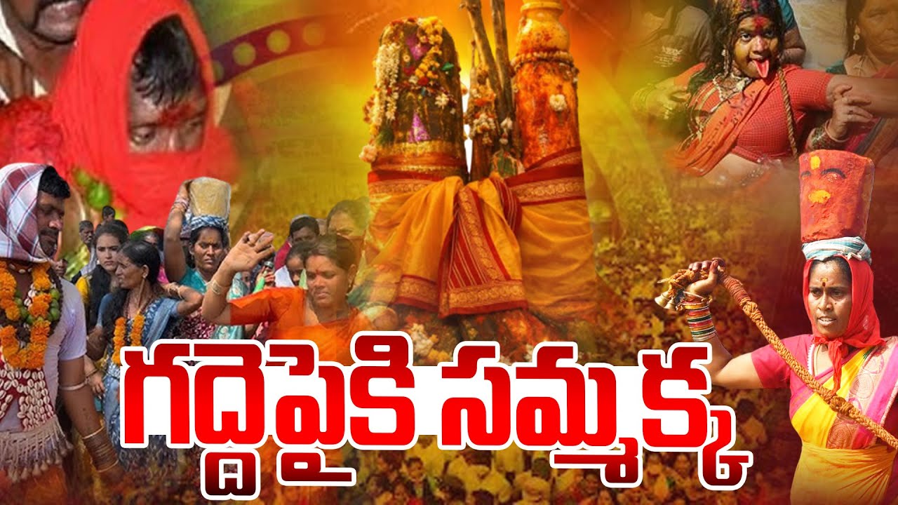 గద్దెపైకి సమ్మక్క |  Sammakka Saralamma Jatara ⁨@Hittvtelugunews⁩