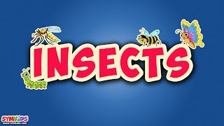 Insects