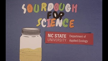 Sourdough for Science: Welcome!