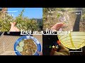 Day in a life vlog💭🌸|Went on long drive☘️|Northeast India📍