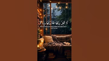 صل على محمد وآل محمد #المصحف #القرآن_الكريم #تلاوة_خاشعة #استغفر_الله #راحة_نفسية 🤲👋🤍🤍🤍🤍