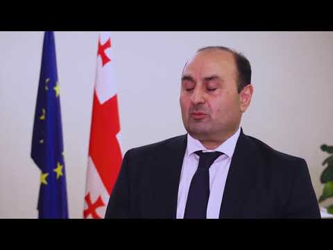 სამეგრელო-ზემო სვანეთს ახალი გუბერნატორი ჰყავს 02 06 21