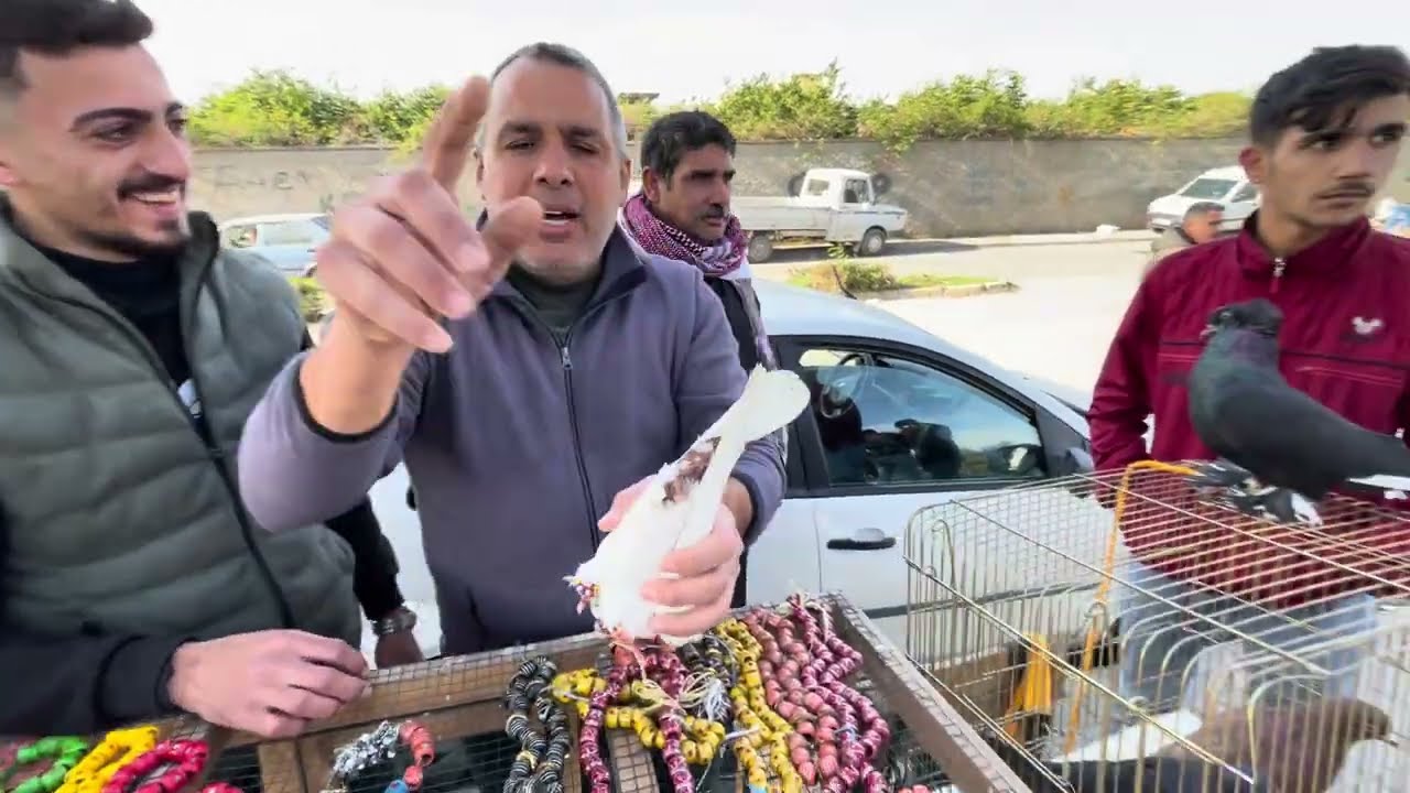 KOSTUM ŞEBAB KUSLARI ADANA KUŞ PAZARI