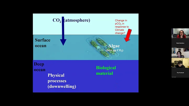 Katherine Richardson: CORC CO2 Research Talks 16/1...