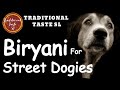 Feeding street dogs  biryani for street dogs  traditional taste sl