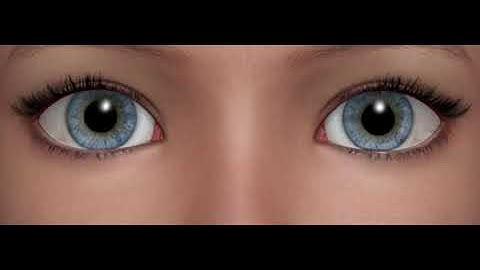 Eyes shader Highlight 0%