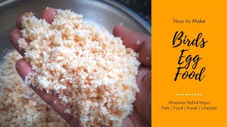 Birds Egg Food || How To Make Birds Egg Food || Soft Food For all Birds ||Easy Way To Make Soft Food