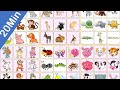 LEARN ALL YOUR NEED FOR CHILDREN, ANIMAL, FRUITS, BIRDS, AND MORE WITH 20 MINUTES  | KIDS ACTIVITY