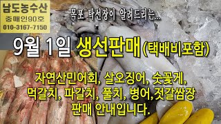 9월 1일(판매 생선), 자연산민어회, 살오징어, 숫꽃…