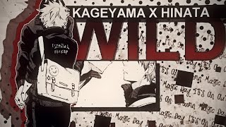 Kageyama x Hinata [WILD]