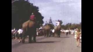 Dvdit - Elephant Race