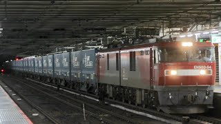 【トヨタロングパスエクスプレス】EH500-54+コキ20車大宮駅通過 4052レ