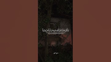 تلاوه للقارئ وديع اليمني#quran #foryou #اكسبلور #المصحف #funny #لايك