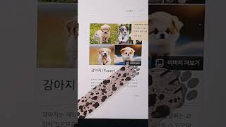 5 Google Easter Eggs(Part 1)! #google #funny #shorts