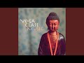 Stress is a Thing of the Past (Ultimate Relaxation Yoga Music)