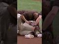 Rays tie the game on a bad throw and injury
