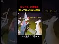 カンガルーに喧嘩を売ってはいけない理由ｗｗｗ #shorts