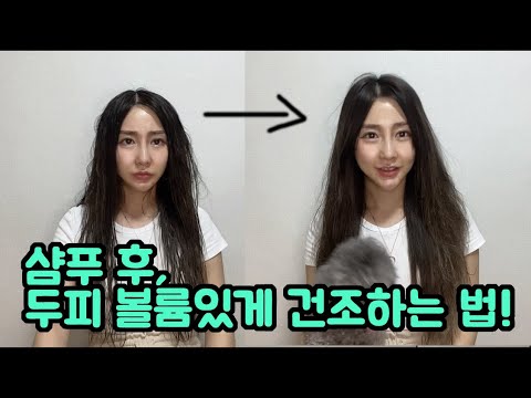 헤어디자이너가 알려주는두피건조방법!두피말리기꿀팁[안나제이]