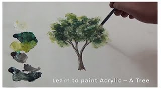 Learn to draw / paint / Acrylics / Tree تلعم رسم شجرة بالوان الاكريليك