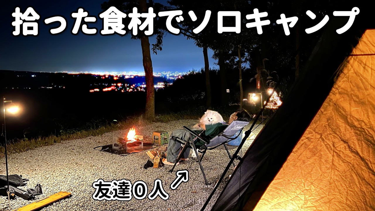 犬しか友達が居ないアラサー独身のソロキャンプ。栗拾い、絶景、恐怖体験…