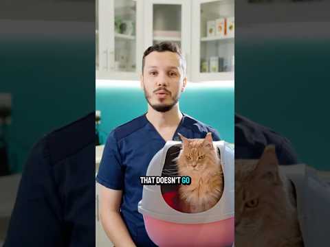 Is Zinc Gluconate Toxic To Cats