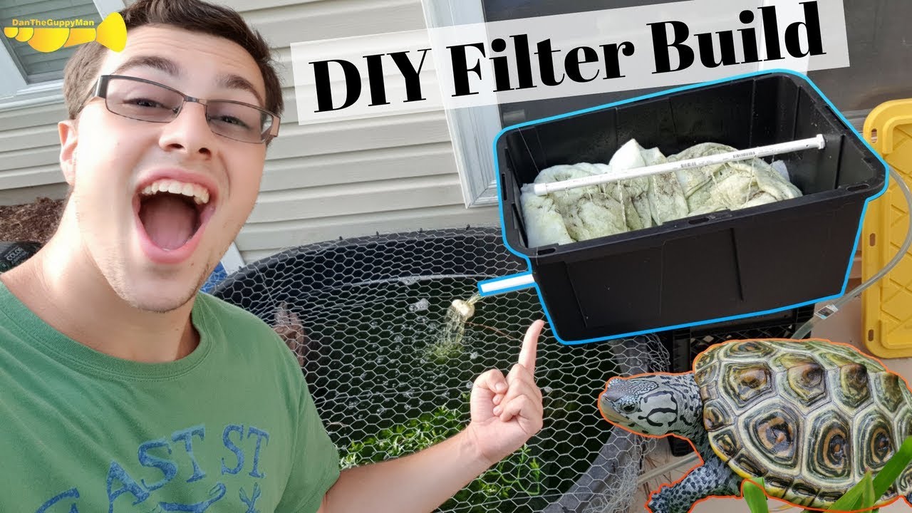 aquarium plants SIMPLE DIY Turtle Filter Build for $25!