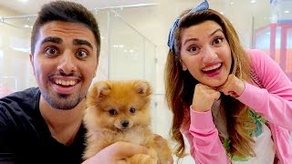 WE ARE GETTING A PET !!!
