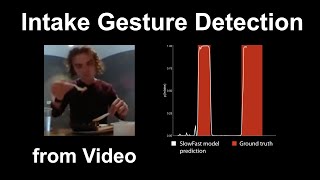 Video-based intake gesture detection