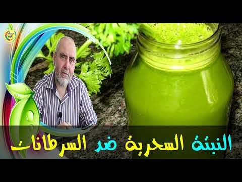 أجي تعرف النبتة السحرية الموجودة في كل بيت ماذا تفعل في جسمك الدكتور كريم العابد العلوي