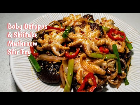 Baby Octopus and