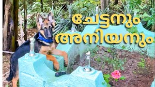 ലിയോയുടെ പരിശീലനം |Leo 's training and caring |chottuz|leo|dileepkumar