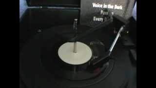 Celebrity The Frantic Elevators - Voice in the Dark (7" Single) Wealth