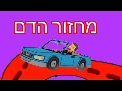 מחזור הדם