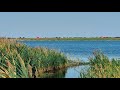 Слушайте пение птиц, шум камыша и любуйтесь видами на берегу озера