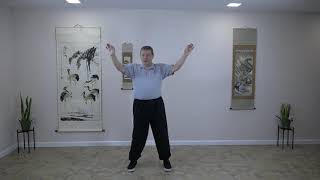 White Crane Soft Qigong screenshot 4