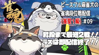 ピースフル麻雀犬の雀魂段位戦配信(雀聖1編)#09【牧島 磨穂郎】