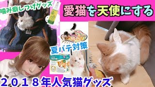 大量の人気猫グッズ購入品紹介☆夏バテ・噛み癖対策にも！最新首輪も多数紹介！