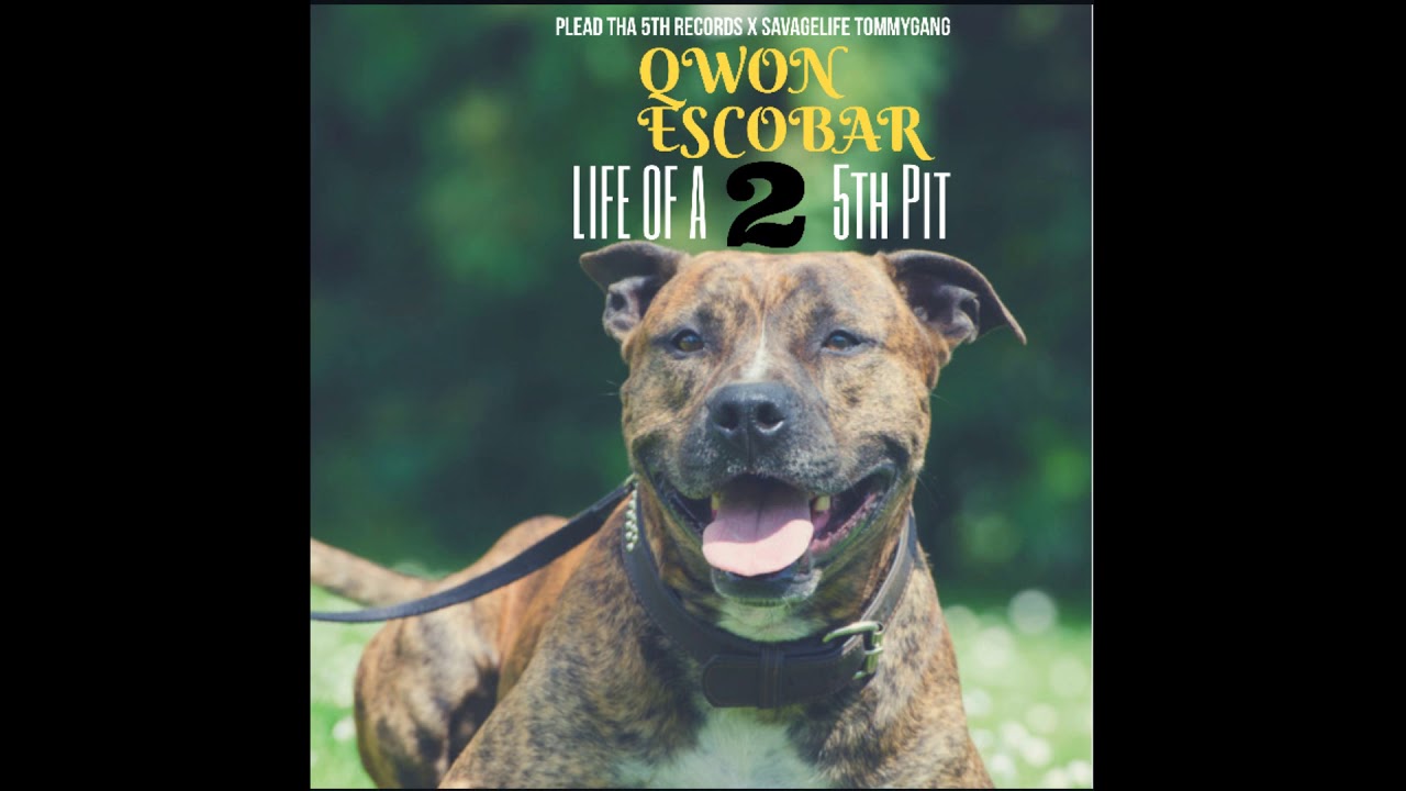 Watch 01. Qwon Escobar - (Intro) Life of A 5th Pit (Prod. by AntBeatz) on YouTube Watch 01. Qwon Escobar - (Intro) Life of A 5th Pit (Prod. by AntBeatz) on YouTube