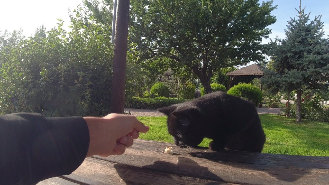 BİZİM TÜRKİYE'DE NİYE BÖYLE DÜŞÜNCE VAR ~47