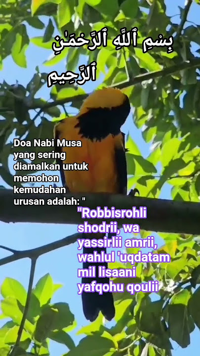 Aamiin ya Allah ya Rabb #egzonibrahimi #egzon #sholawat #quotes #doa #motivasidiri