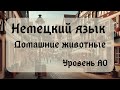 7. Тема: Домашние животные. Язык: Немецкий. Уровень А0.